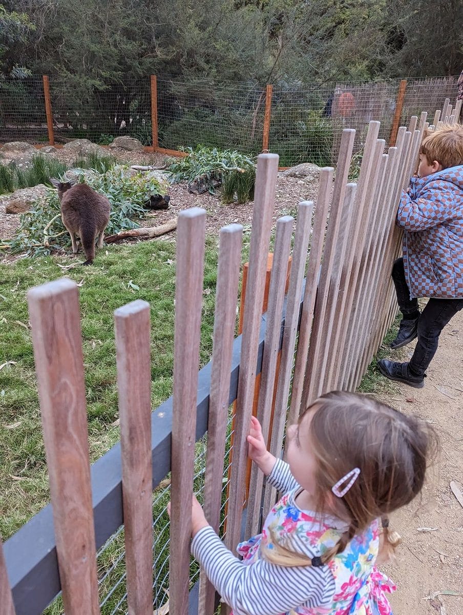 Melbourne Zoo with Kids: Tips, Must-Sees and What You Need to Know Before You Go 10 Melbourne Zoo images Amy Gardner () ()