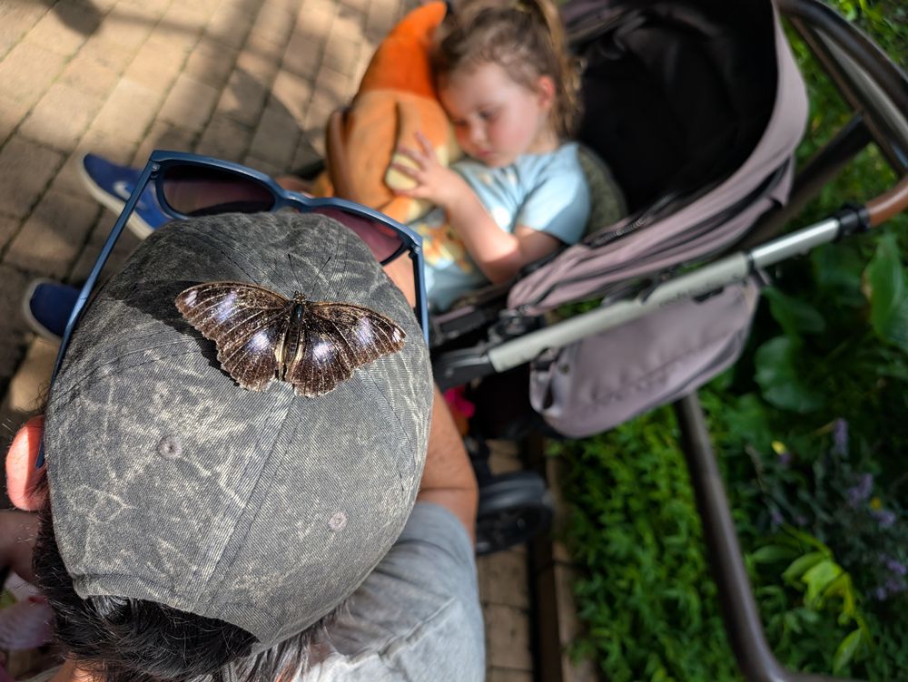 Melbourne Zoo with Kids: Tips, Must-Sees and What You Need to Know Before You Go 6 Melbourne Zoo images Amy Gardner () ()