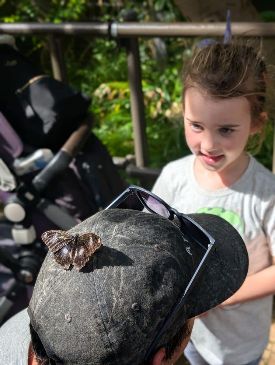 Melbourne Zoo with Kids: Tips, Must-Sees and What You Need to Know Before You Go 8 Melbourne Zoo images Amy Gardner () ()