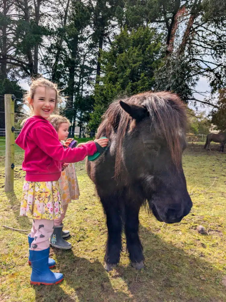 Wilindi Estate: A Cottage Stay With Rescued Animals on the Mornington Peninsula 1 Wilindi Estate - image Amy Gardner