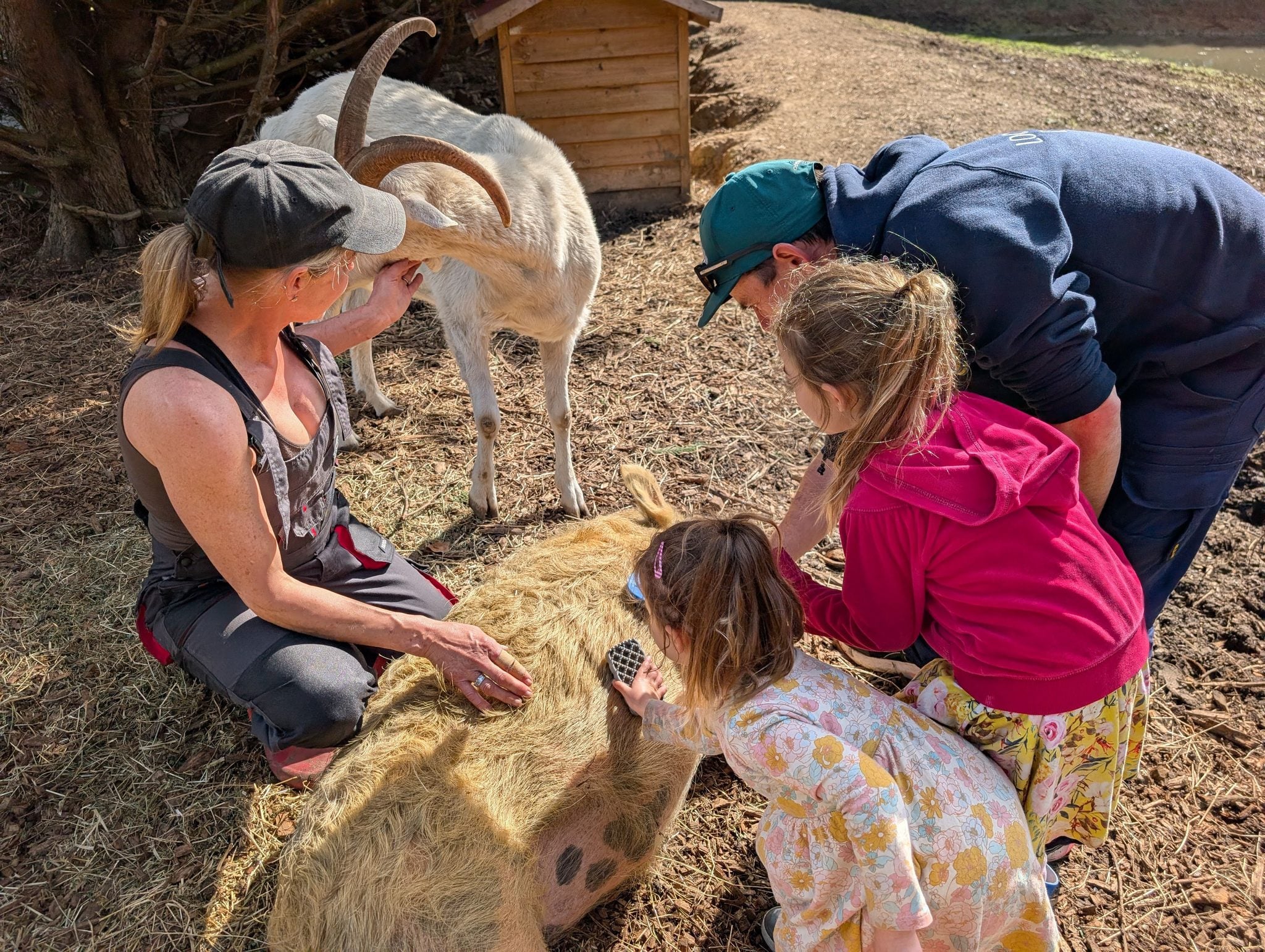Wilindi Estate: A Cottage Stay With Rescued Animals on the Mornington Peninsula 2 Wilindi Estate