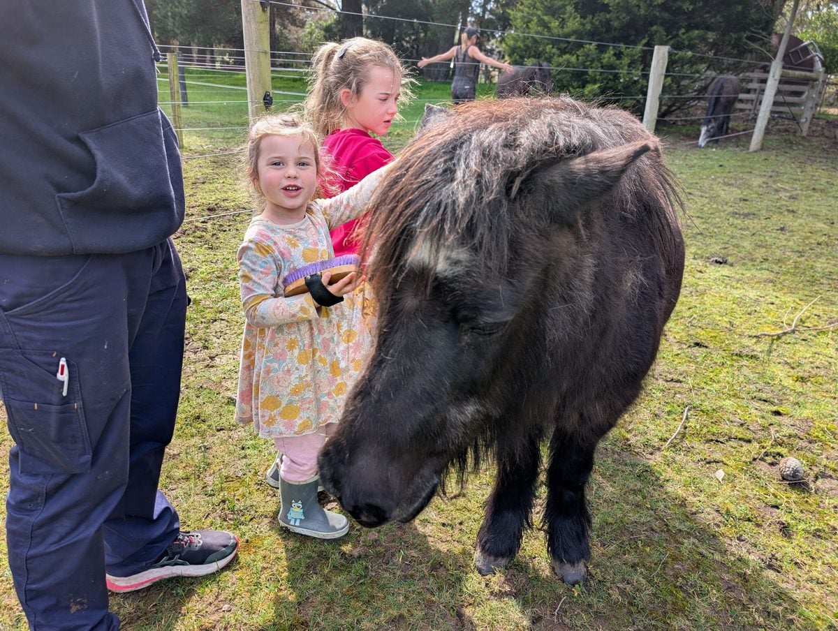 Wilindi Estate: A Cottage Stay With Rescued Animals on the Mornington Peninsula 1 Wilindi Estate