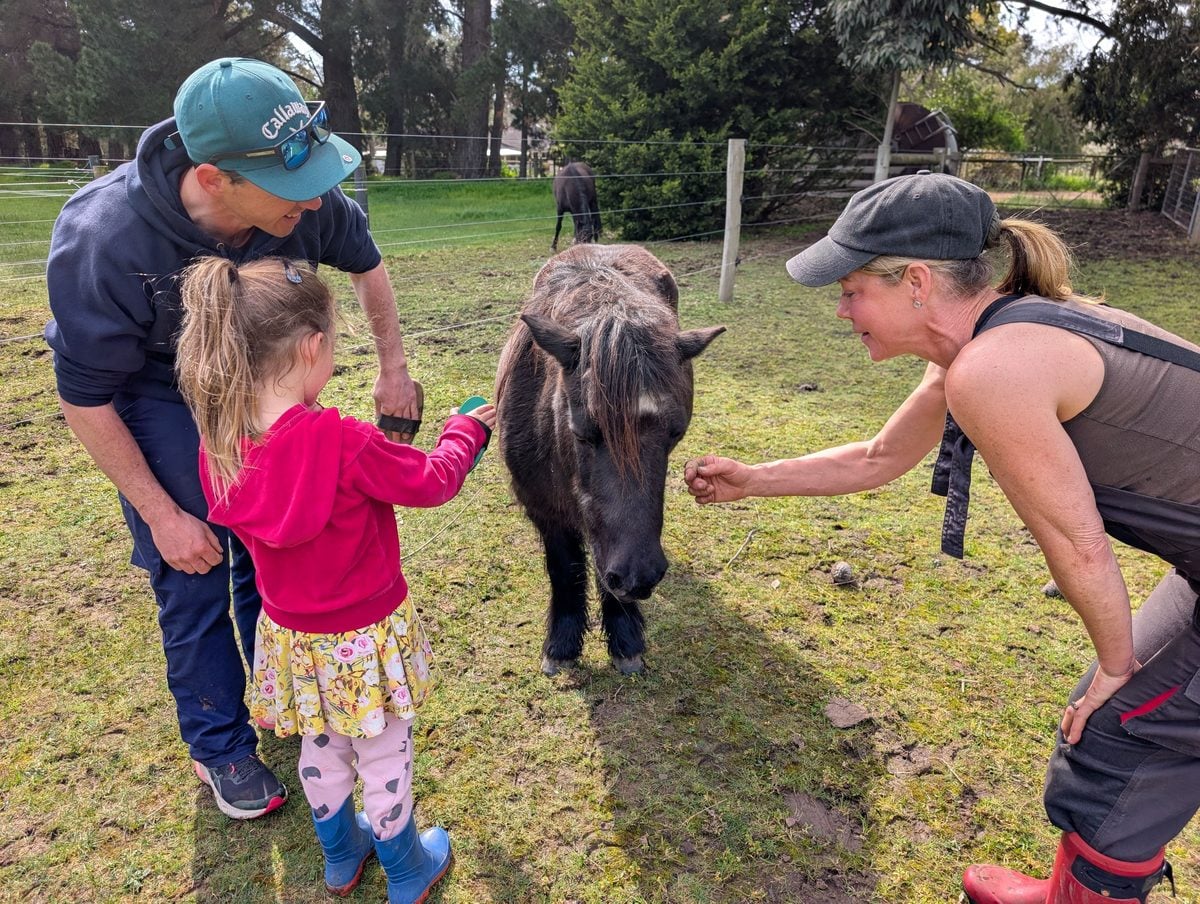 Wilindi Estate: A Cottage Stay With Rescued Animals on the Mornington Peninsula 4 Wilindi Estate