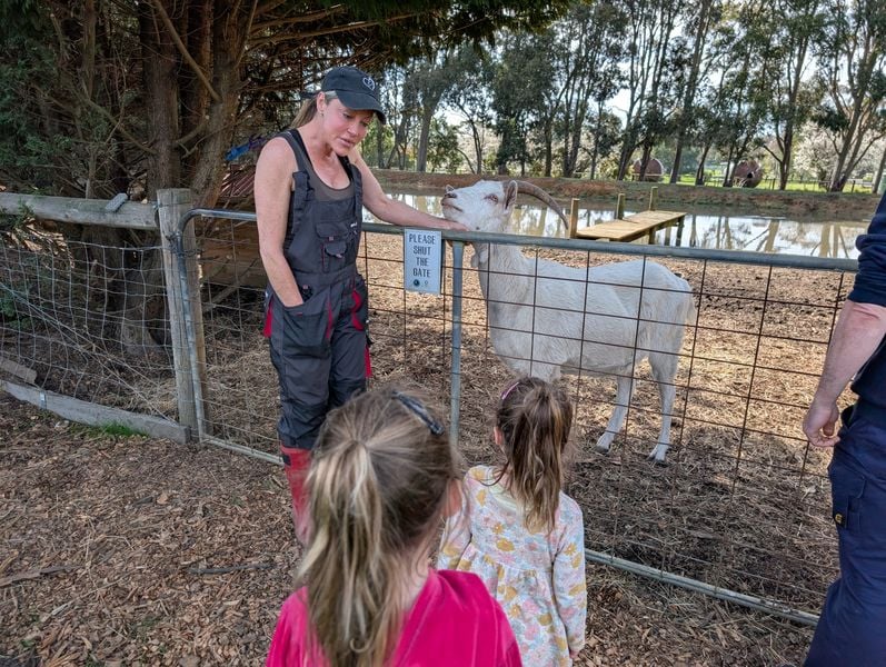 Wilindi Estate: A Cottage Stay With Rescued Animals on the Mornington Peninsula 8 Wilindi Estate