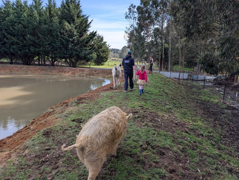 Wilindi Estate: A Cottage Stay With Rescued Animals on the Mornington Peninsula 9 Wilindi Estate