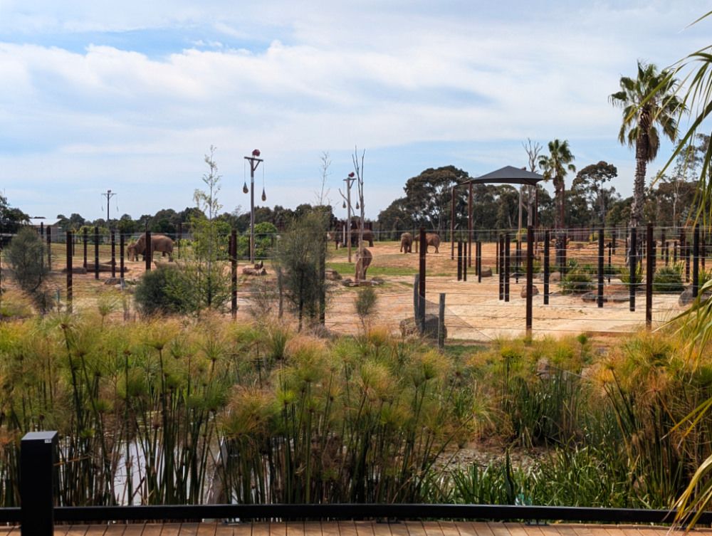 Werribee Open Range Zoo with Kids: Tips, Must-Sees and What You Need to Know 12 Werribee Open Range Zoo Images Amy Gardner px