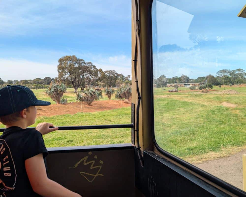 Werribee Open Range Zoo with Kids: Tips, Must-Sees and What You Need to Know 15 Werribee Open Range Zoo Images Amy Gardner